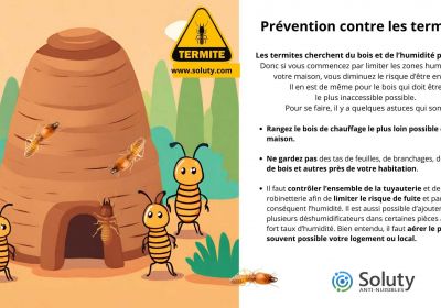 Prevention contre les termites