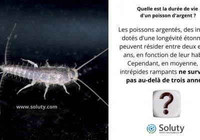 Quelle est la duree de vie dun poisson dargent