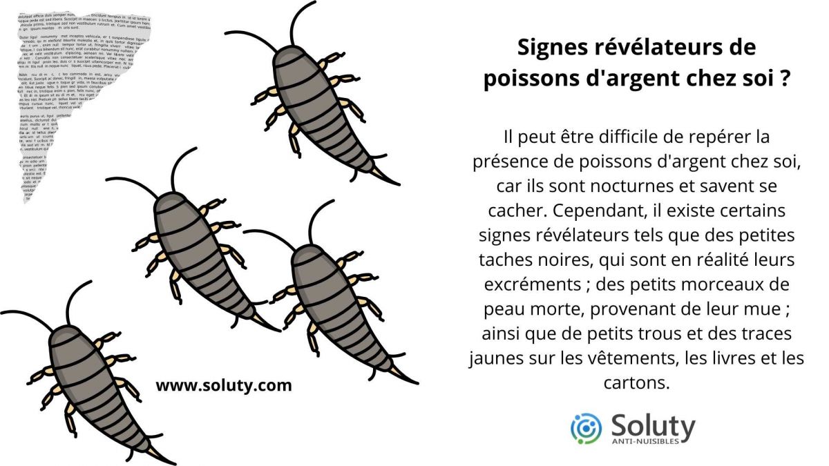 Signes révélateurs de poissons d'argent chez soi ?