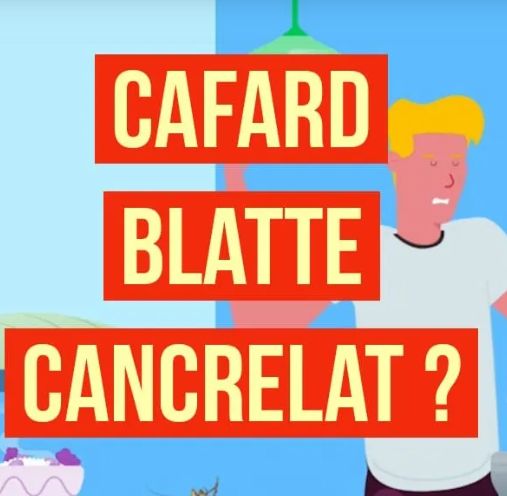 CFARDS - BLATTES OU CANCRELAT ?