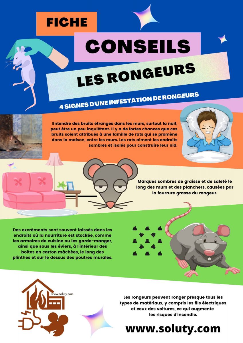 Comment savoir si des rats se sont installés chez vous ?