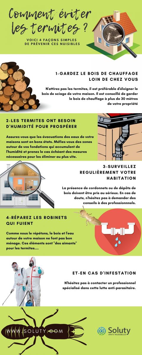 infographie sur comment éviter les termites ?