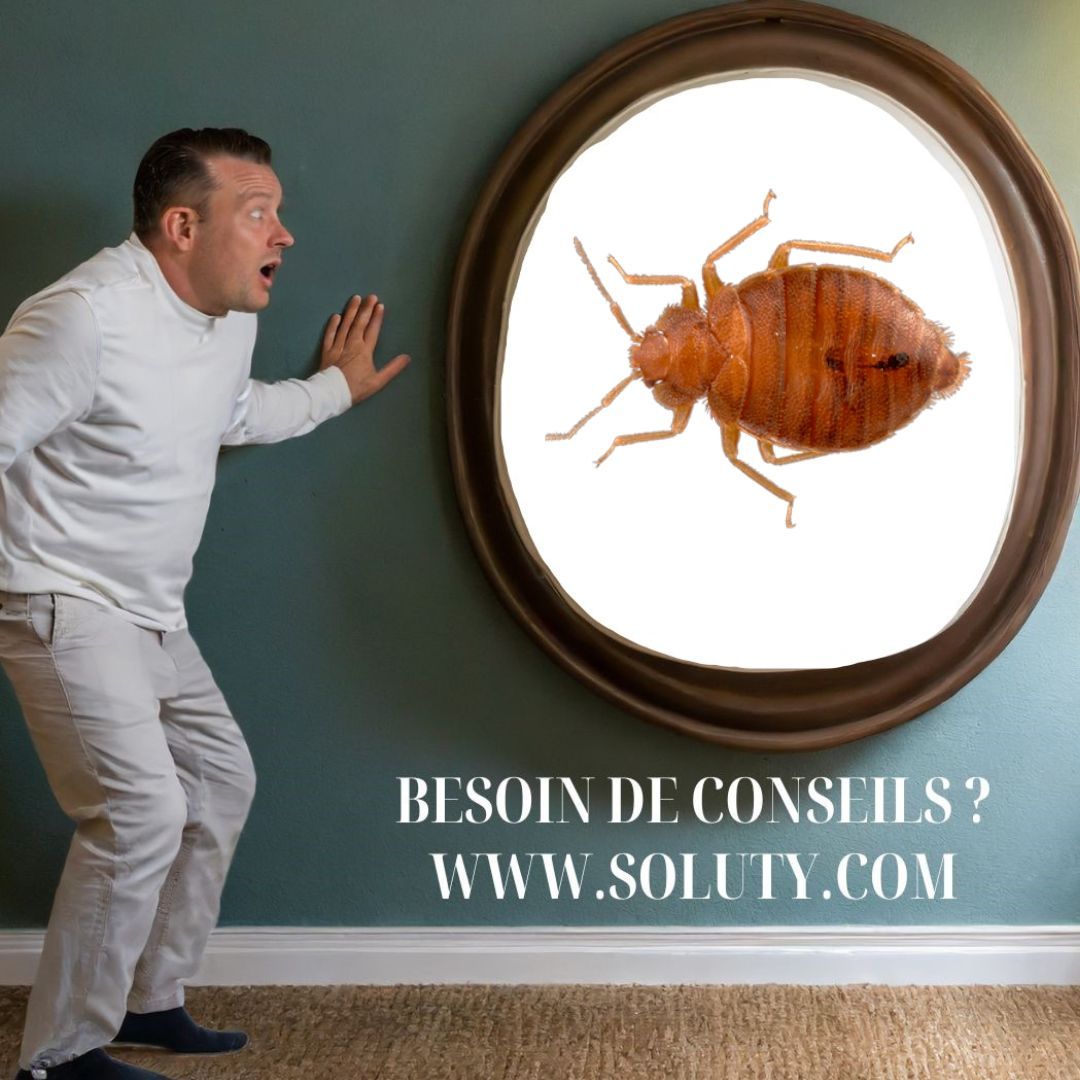 Comment réagir face à une infestation de punaises de lit à Issoudun ?besoin de conseils de pro ? 