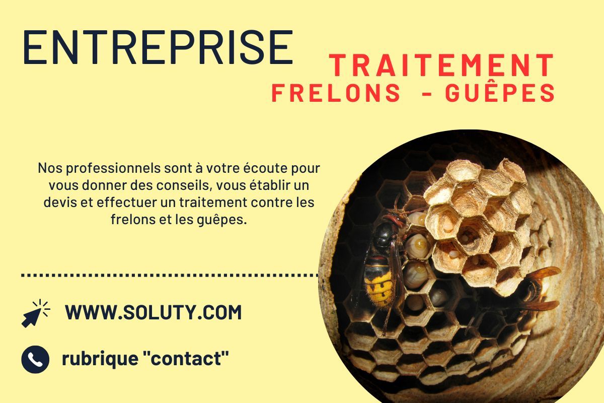 Qui appeler pour éliminer des nids de guêpes ou de frelons à Saint-Jean-Cap-Ferrat ?