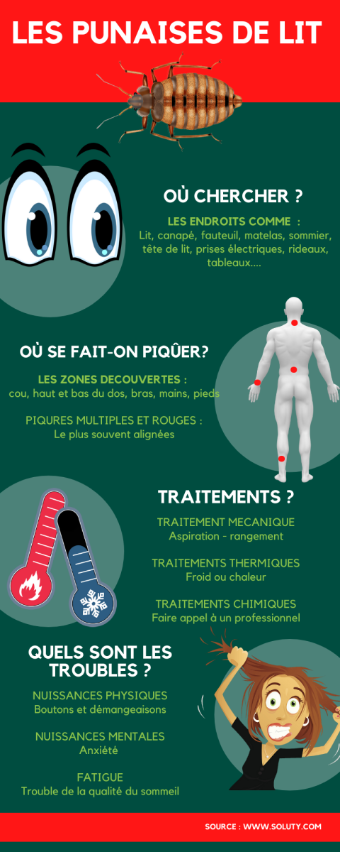 Est-ce que les punaises de lit peuvent causer des problèmes de santé pour les habitants du Muy ?