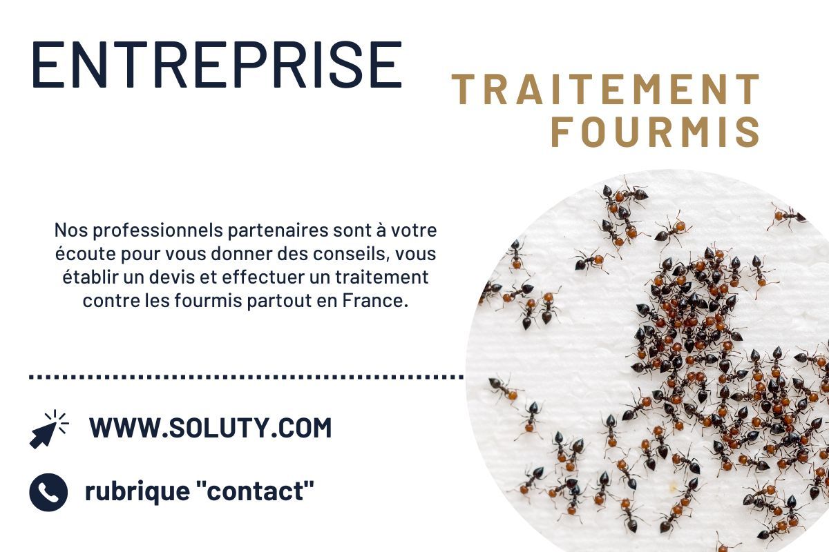 Société de désinsectisation de fourmis et exterminateur de nuisibles à Manosque (04100)