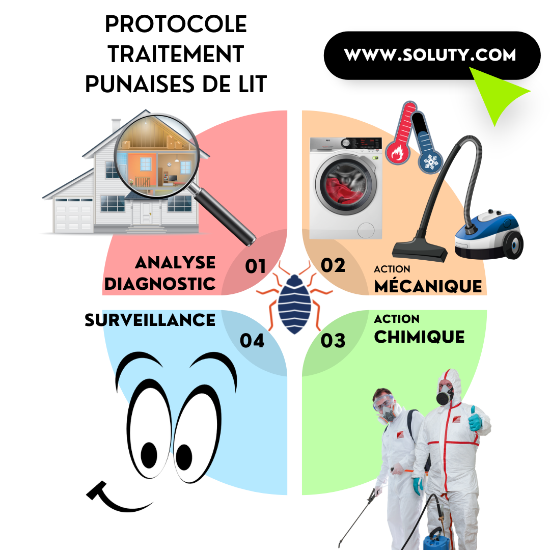 Comment réagir en cas d'infestation de punaises de lits