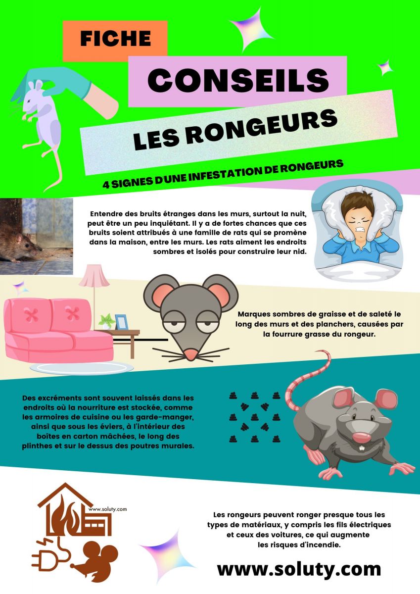 Quels sont les signes d'une infestation de rongeurs chez vous ?