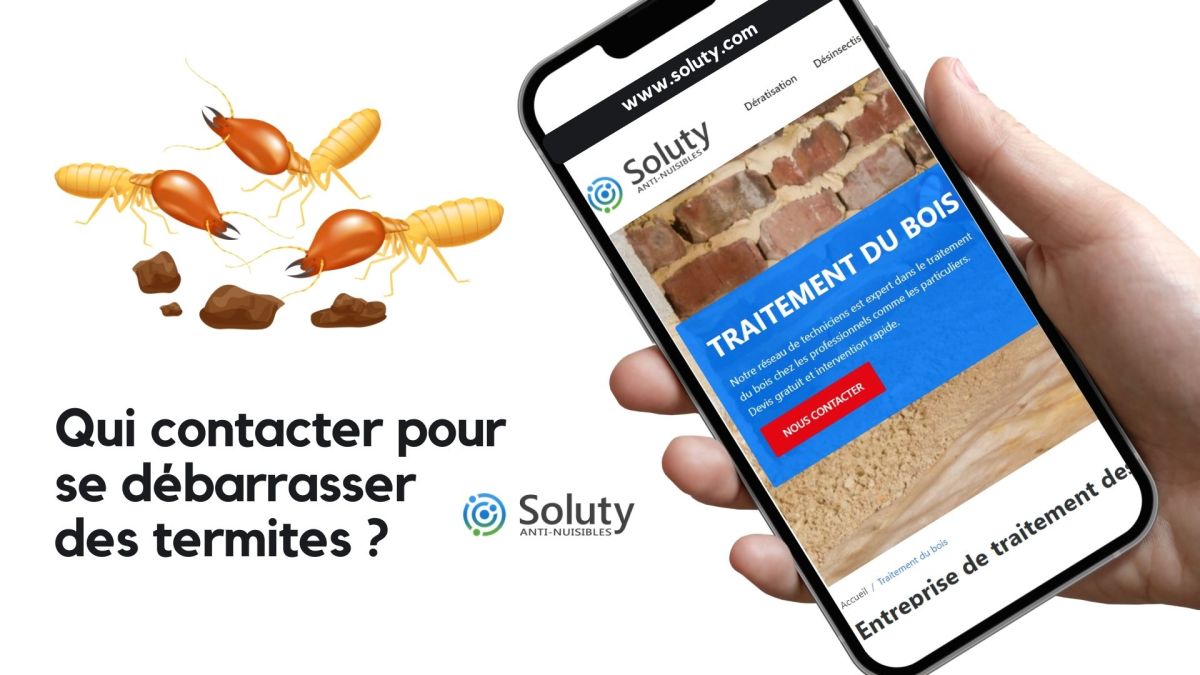 Appelez notre partenaire pour le traitement du bois à Colomiers (31) pour vous débarrasser des insectes xylophages