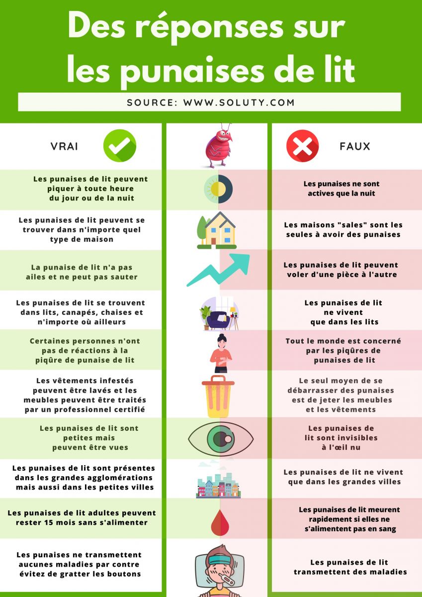 vrai faux sur les punaises de lit