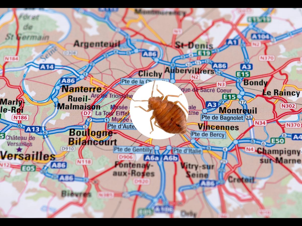 carte de Paris avec une punaise de lit