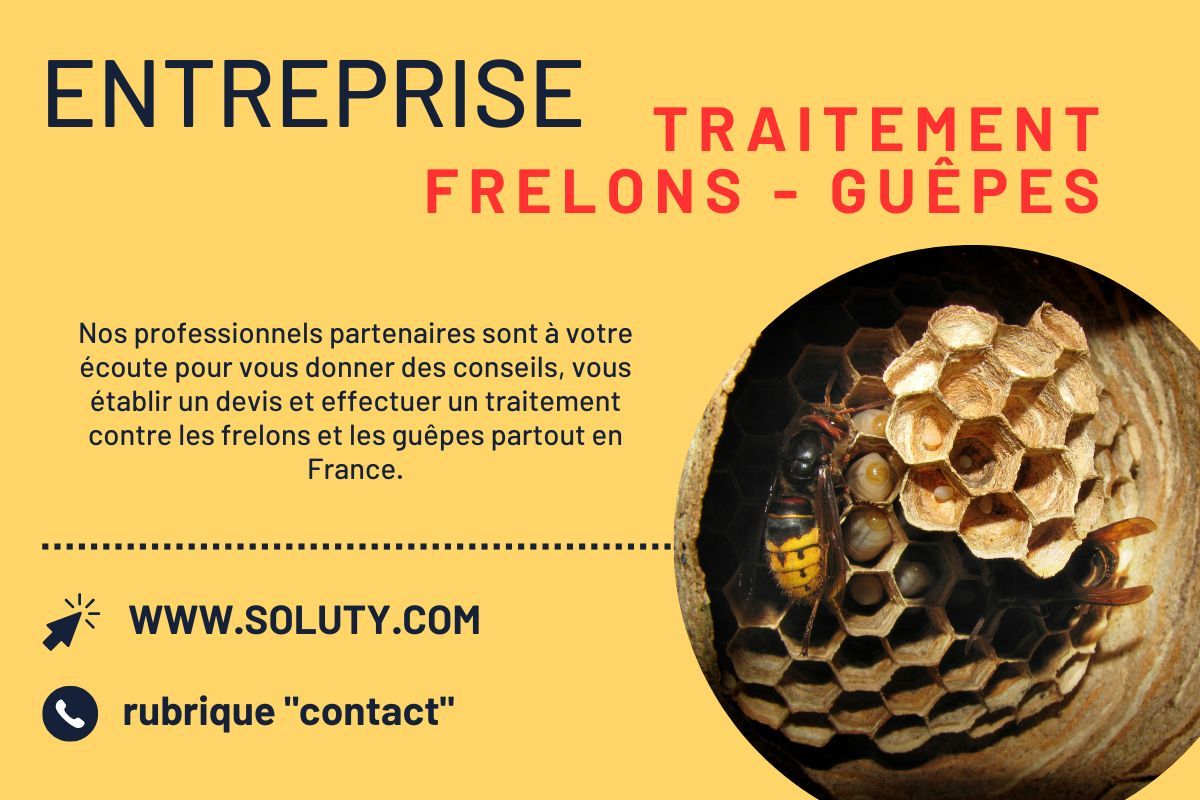 Société de désinsectisation de frelons ou de guêpes et exterminateur de nuisibles à Vandœuvre-lès-Nancy (54500)