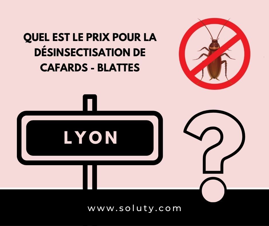 TARIFS : LYON quel est le prix pour la destruction de cafards blattes ?