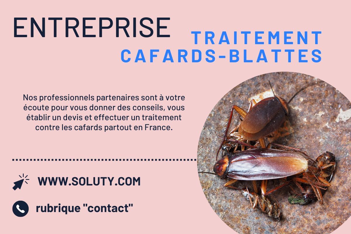Société de désinsectisation de blattes et de cafards et exterminateur de nuisibles à Vandoeuvre-lès-Nancy (54500)