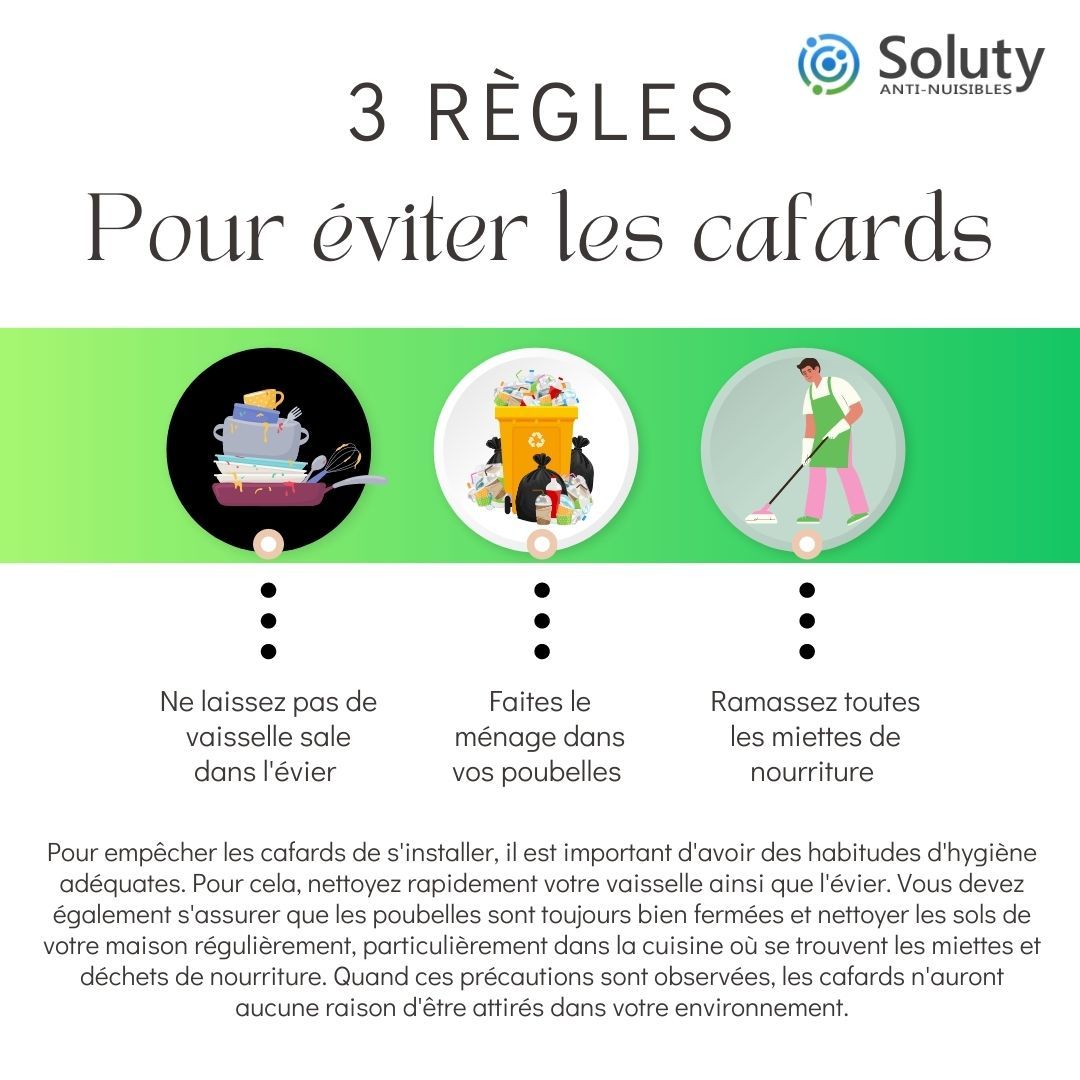 Quelles sont les précautions à prendre pour éviter les cafards à la maison ?