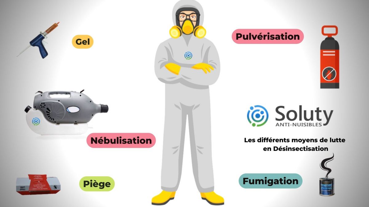 Les différents moyens de lutte  en désinsectisation