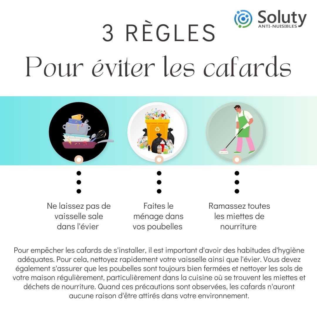 astuces pour éviter les cafards 