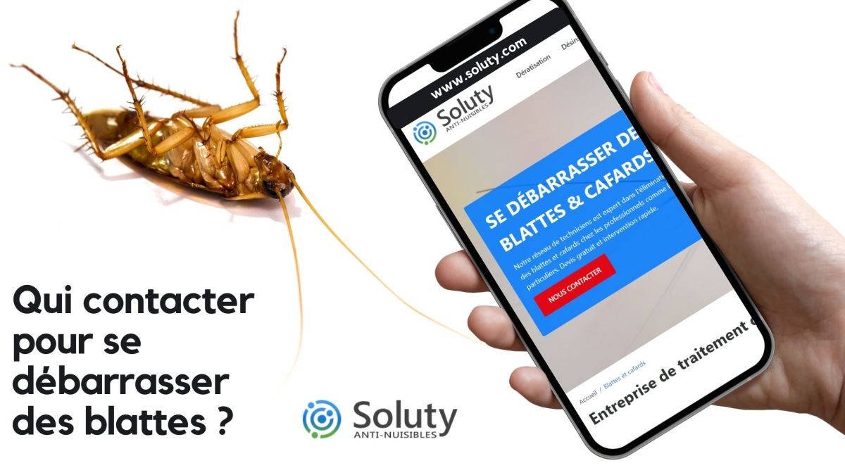 Qui appeler pour se débarrasser des cafards à Flers ?