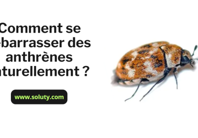 Comment se debarrasser des anthrenes naturellement 1