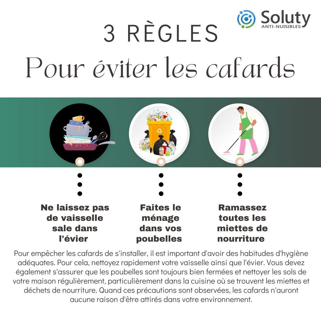 astuces pour éviter les cafards 