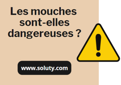 Mouche danger