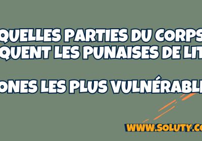 Quelles parties du corps piquent les punaises de lit zones les plus vulnerables 2