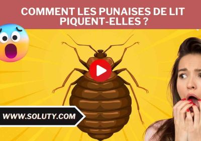 Comment les punaises de lit piquent elles