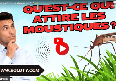 Quest ce qui attire les moustiques