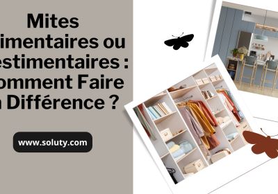 Mites alimentaires ou mites vestimentaires comment faire la difference