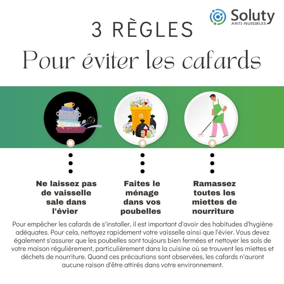 astuces pour éviter les cafards 