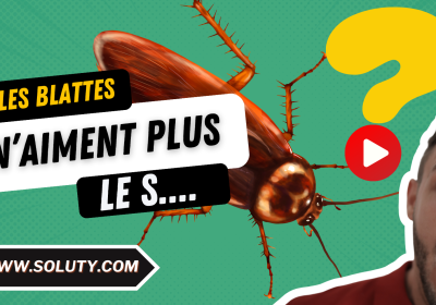 Pourquoi les blattes ont elles une aversion au glucose