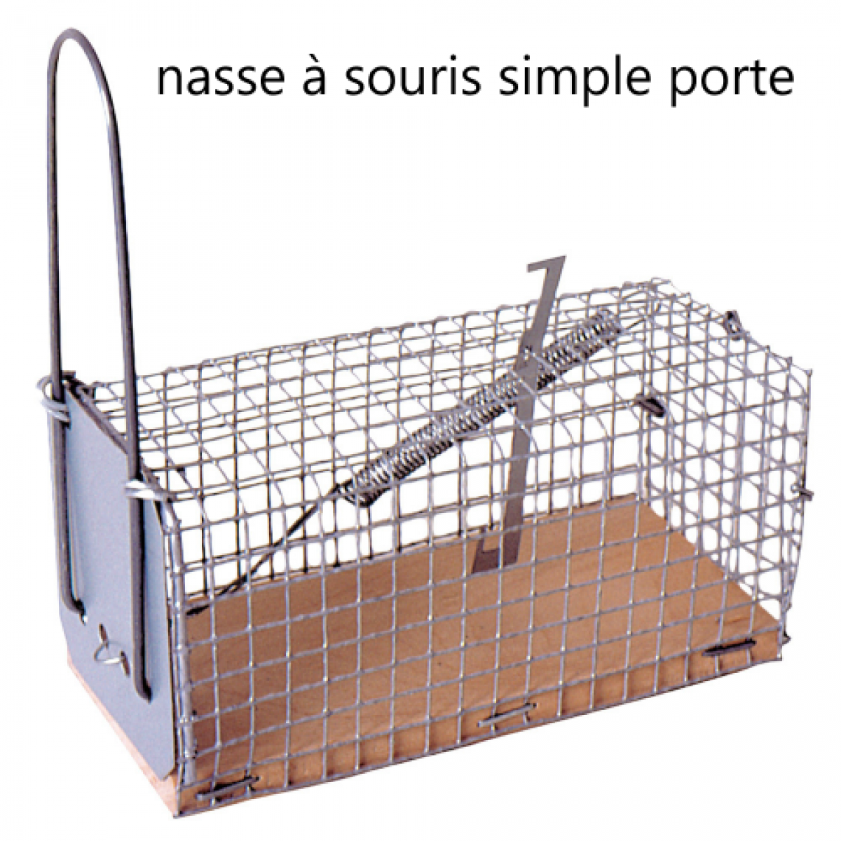 Comment attraper une souris avec un piège ?