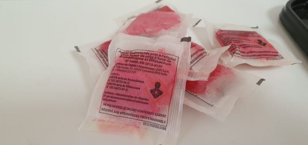 exemple de sachets de pâte rodonticide en tissu micro perforés pour les rongeurs