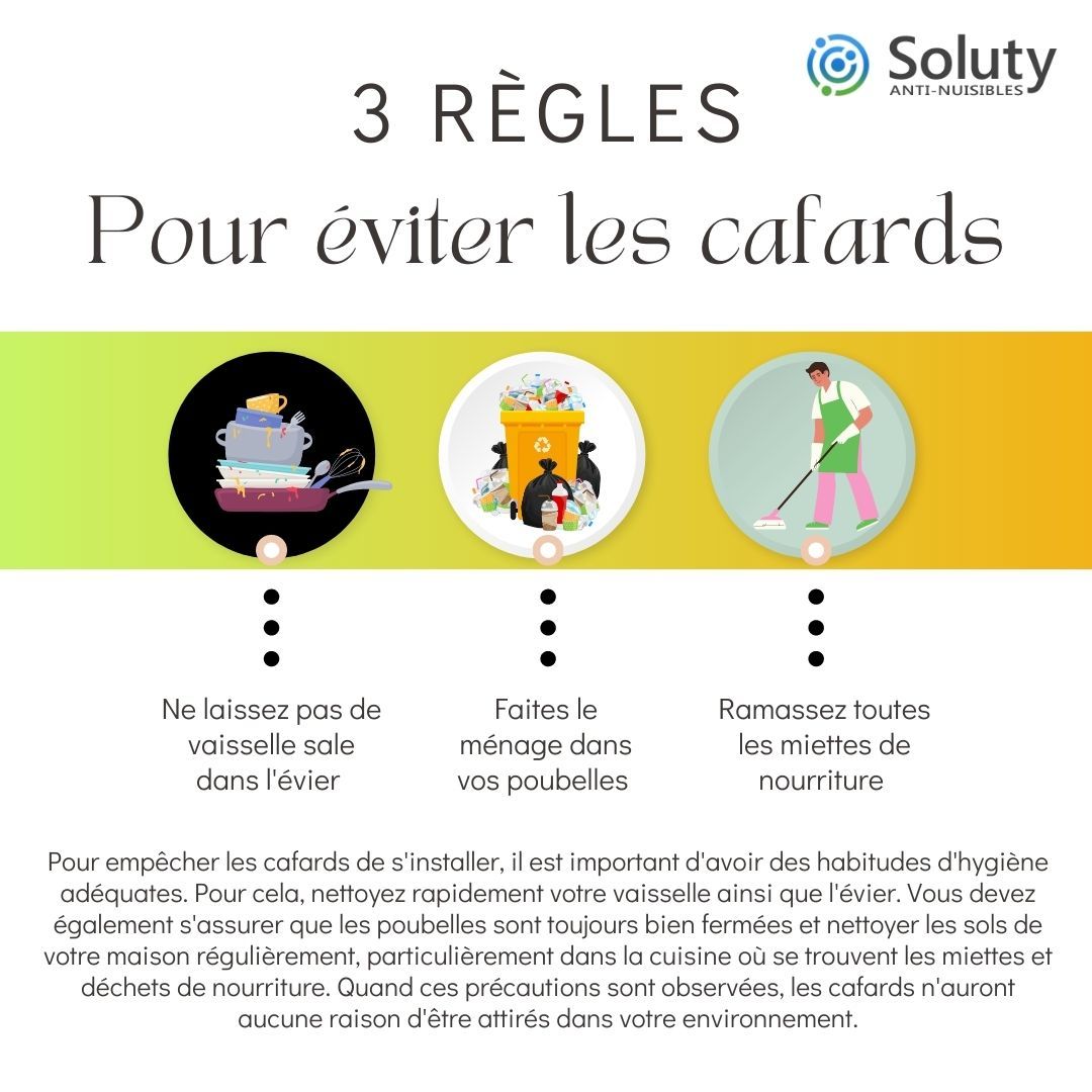 astuces pour éviter les cafards