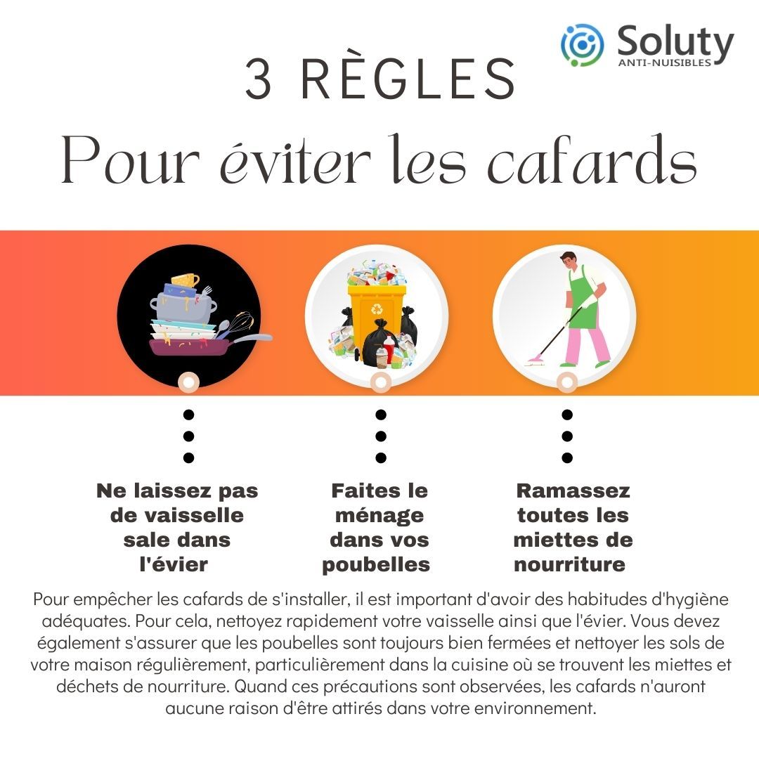 astuces pour éviter les cafards 