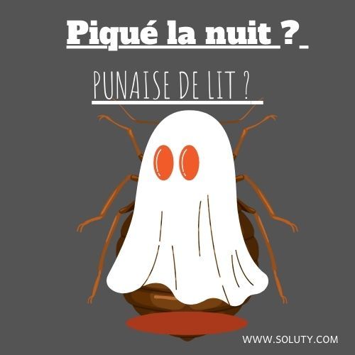 PIQUE LA NUIT , est ce une punaise de lit ? 