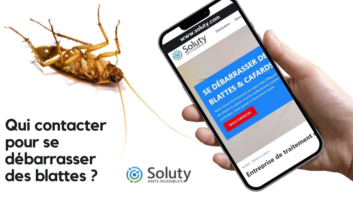 Qui contacter pour se débarrasser des blattes ?