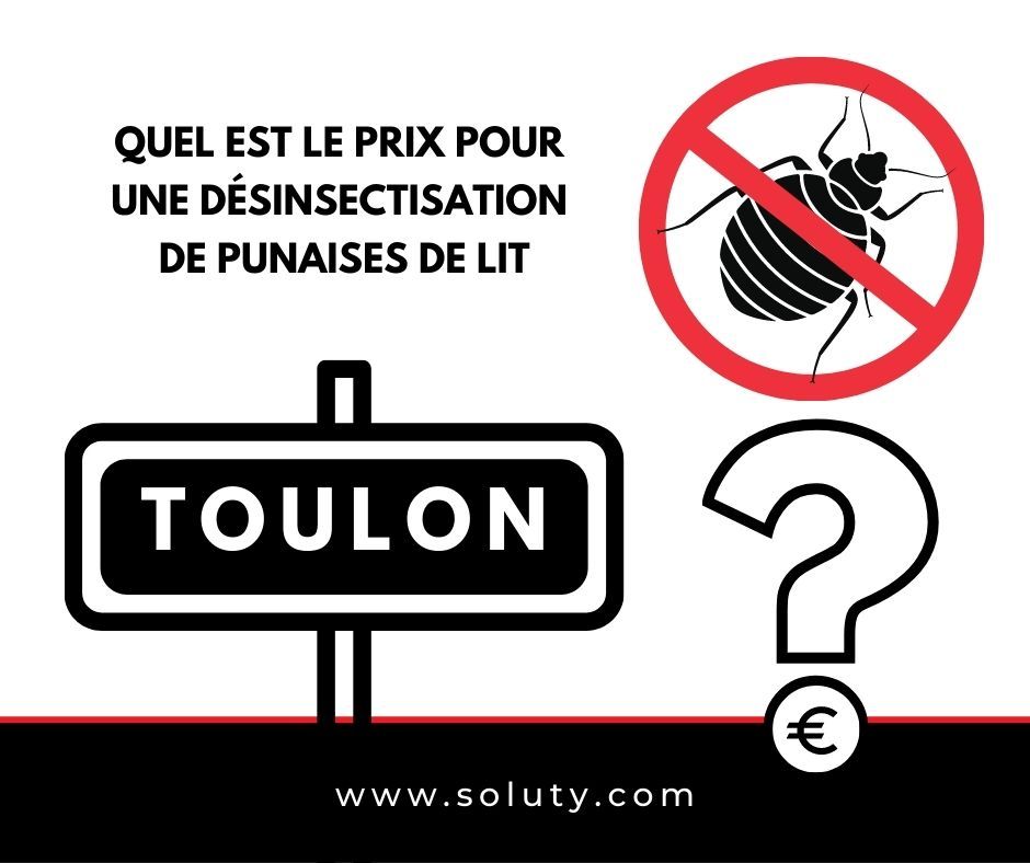 TOULON quel est le prix pour la désinsectisation de punaises de lit ?