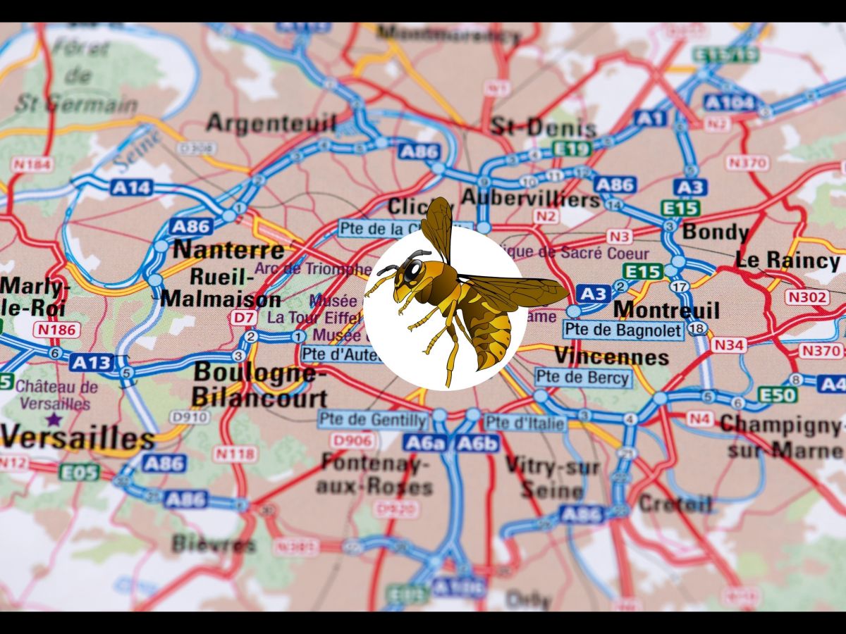 carte de Paris avec un frelon