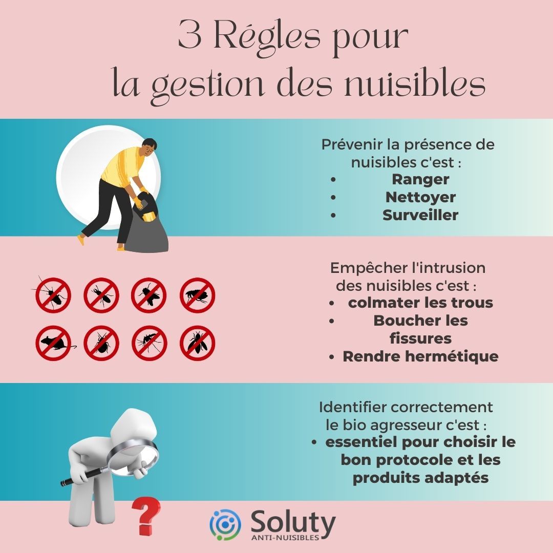 Comment éviter les nuisibles ?