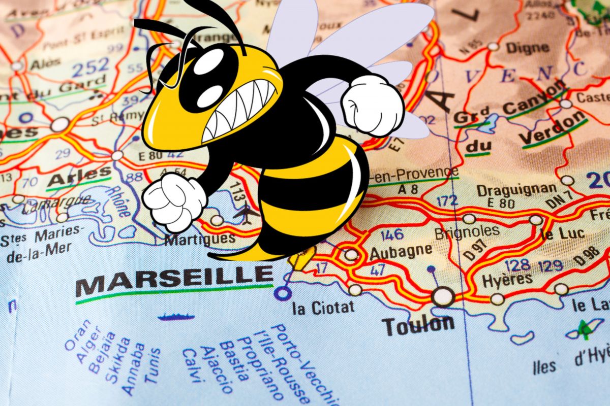 plan de Marseille et frelon