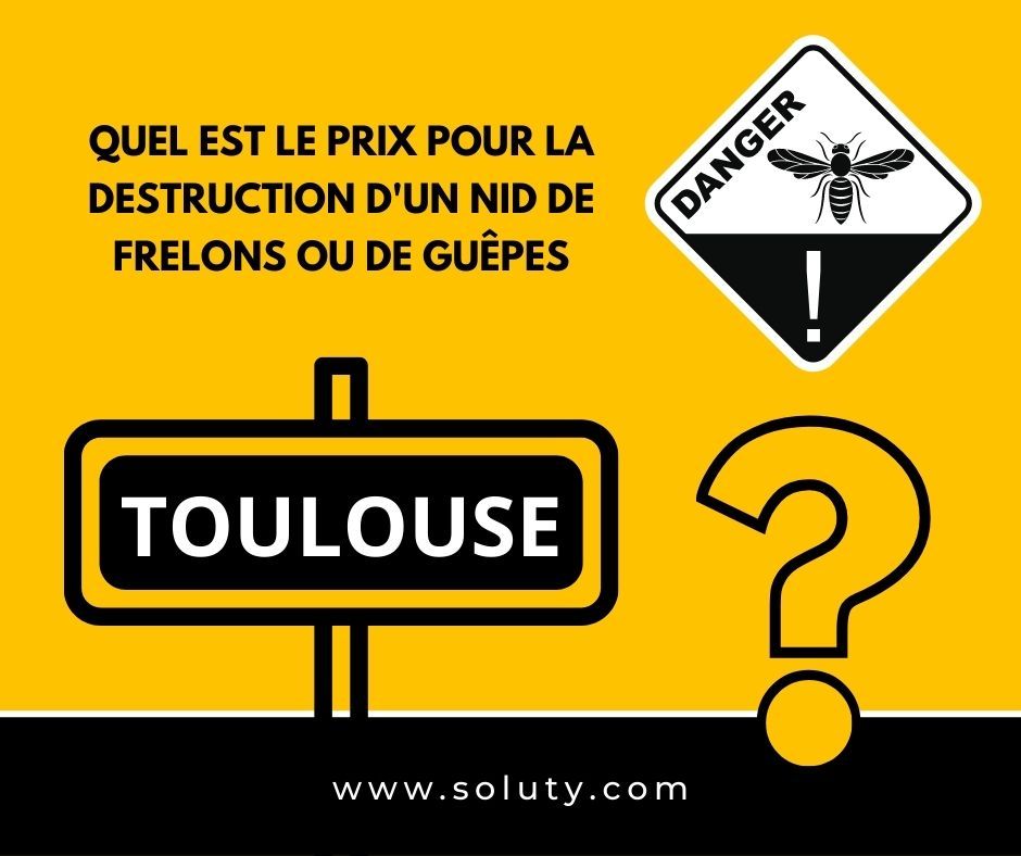 TOULOUSE quel est le prix pour la destruction d'un nid de frelons ou de guêpes ?