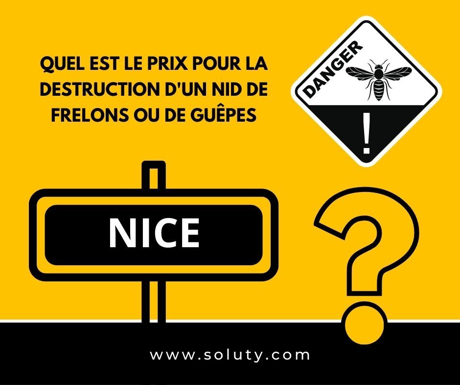 Nice quel est le prix pour la destruction d'un nid de frelons ou de guêpes ?