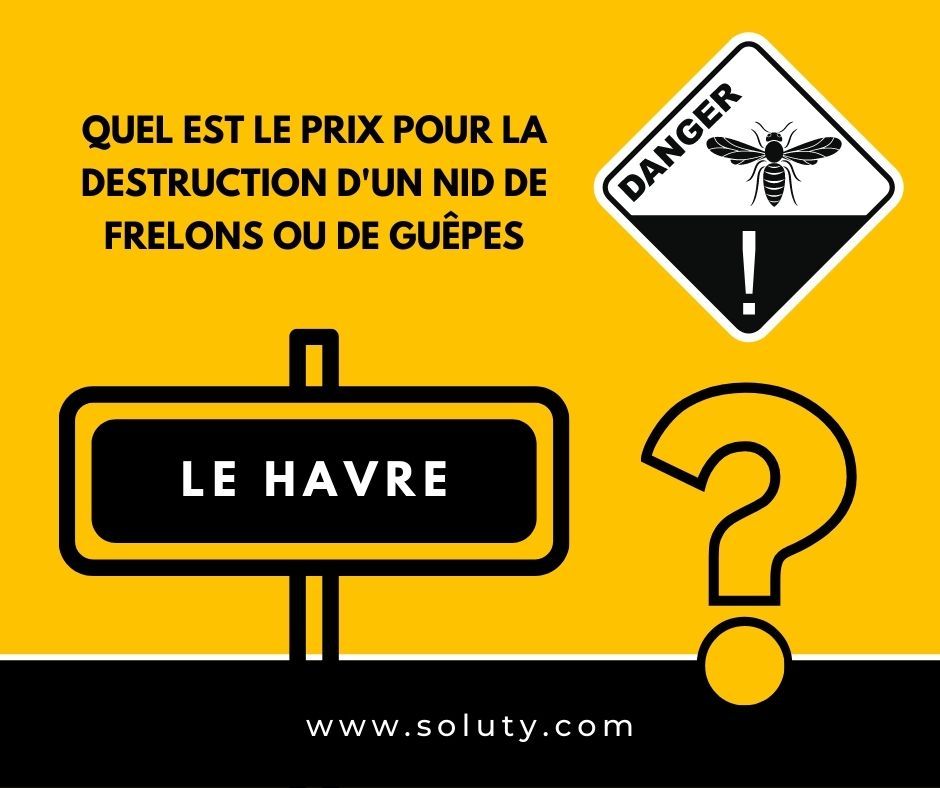 LE HAVRE quel est le prix pour la destruction d'un nid de frelons ou de guêpes ?