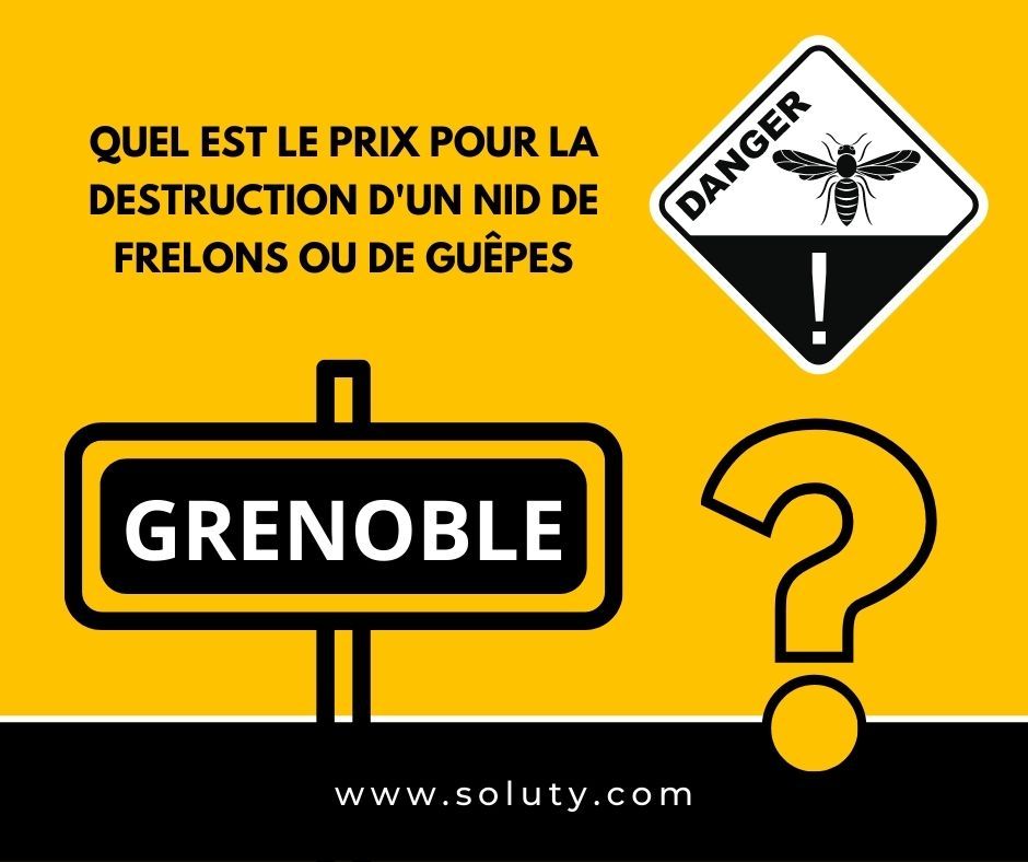 GRENOBLE quel est le prix pour la destruction d'un nid de frelons ou de guêpes ?