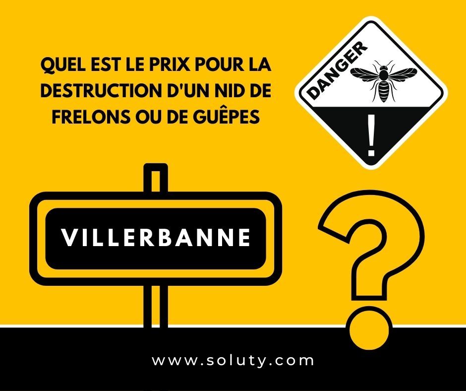 VILLEURBANNE quel est le prix pour la destruction d'un nid de frelons ou de guêpes ?