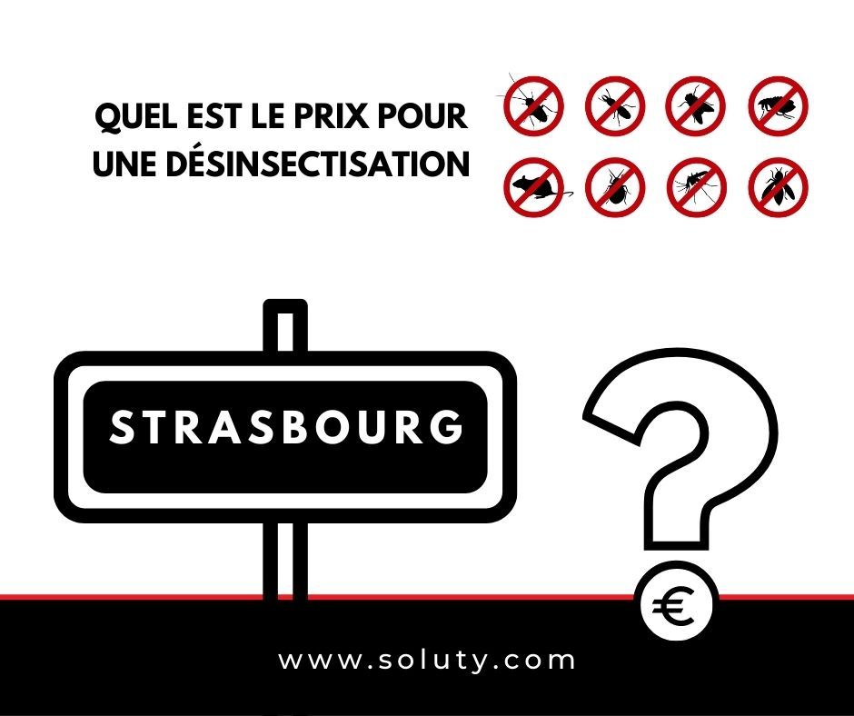 quel est le prix pour la désinsectisation ?