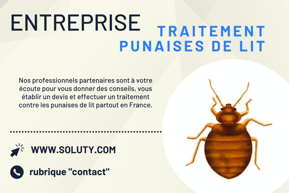 Entreprise de traitement des punaises de lit