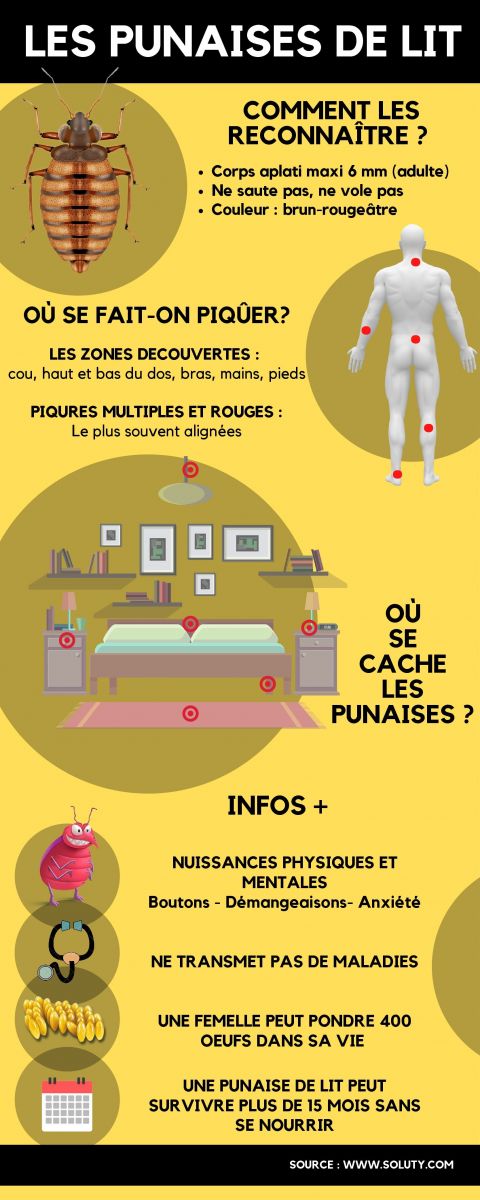 Quel produit pour tuer les punaises de lit ?