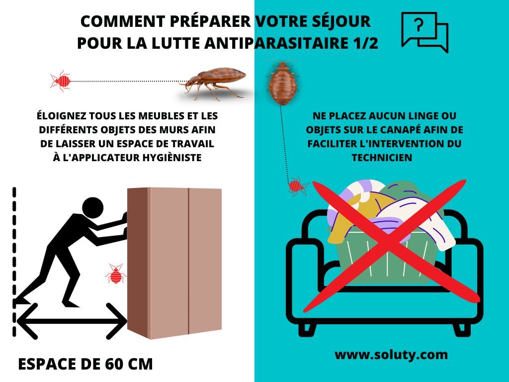 comment préparer son appartement pour une lutte antiparasitaire contre les punaises de lit ? 1/2